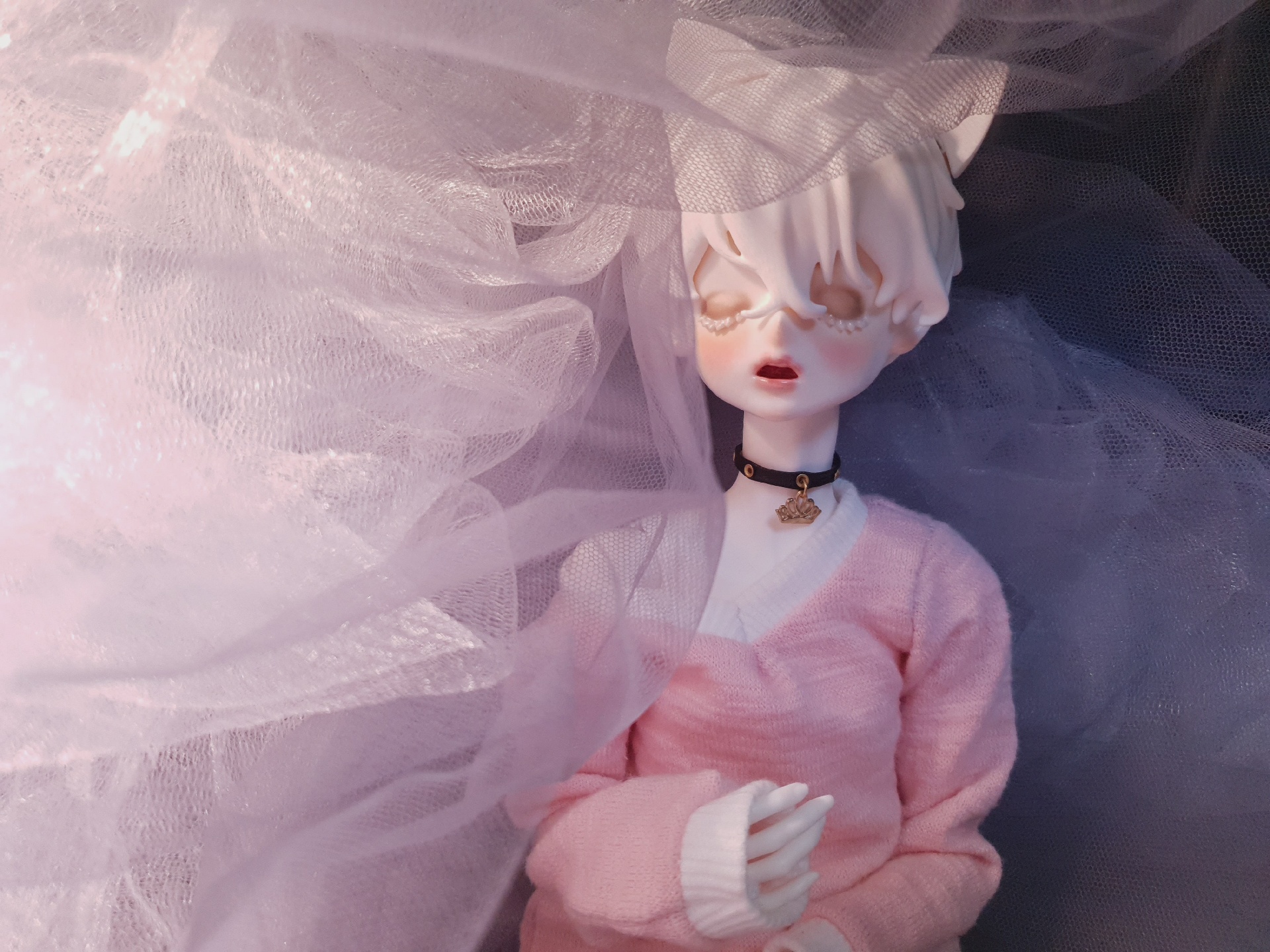 우리집 야옹이들♡