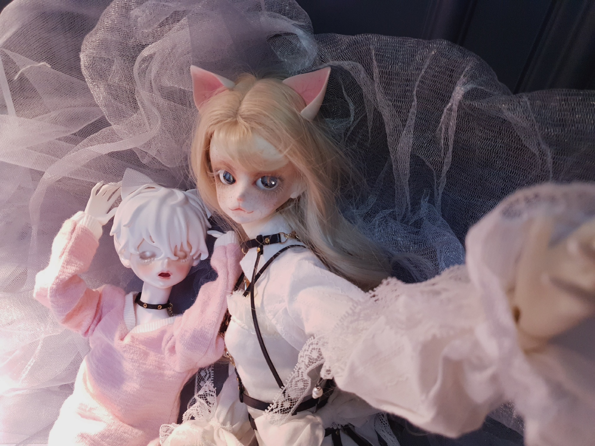우리집 야옹이들♡