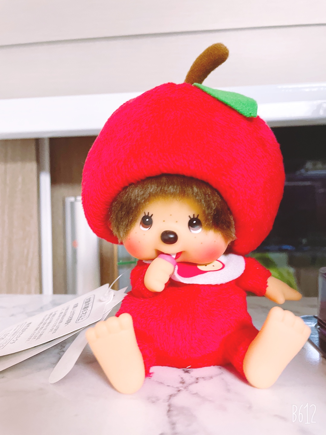 생일 선물로 받았던 몬치치