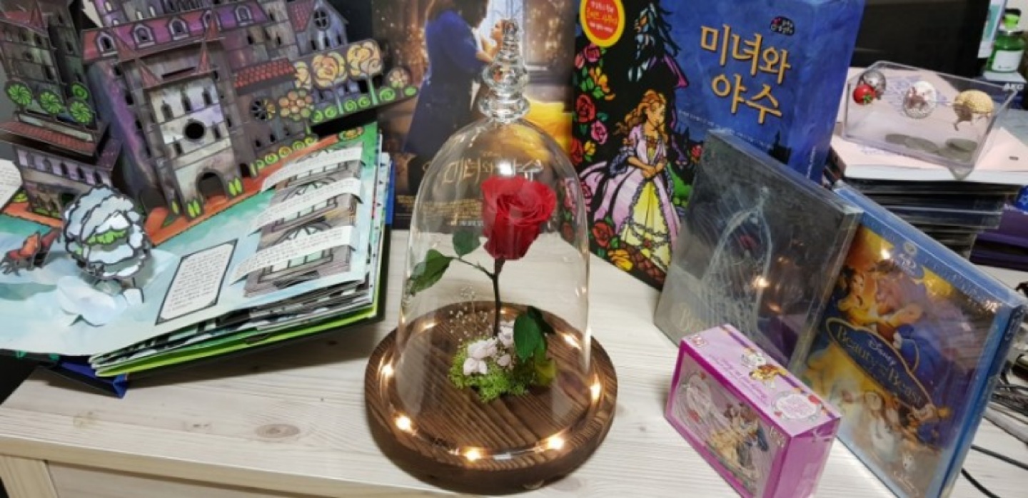 [미디어] 미녀와야수 픽쳐 LP