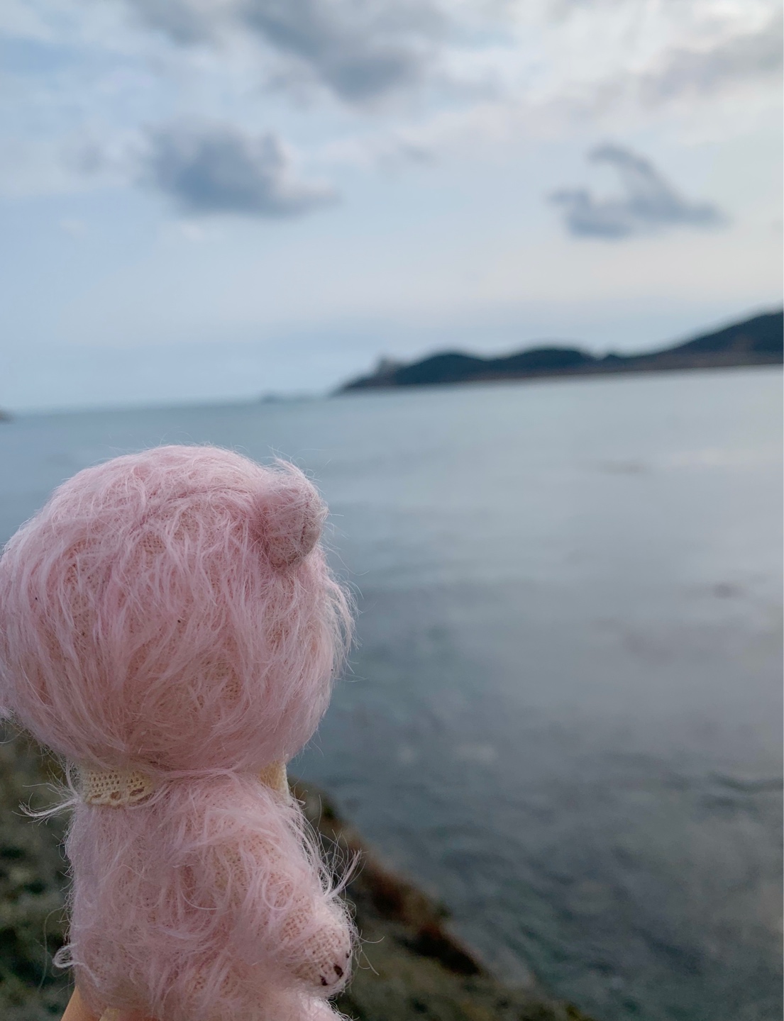 솜사탕