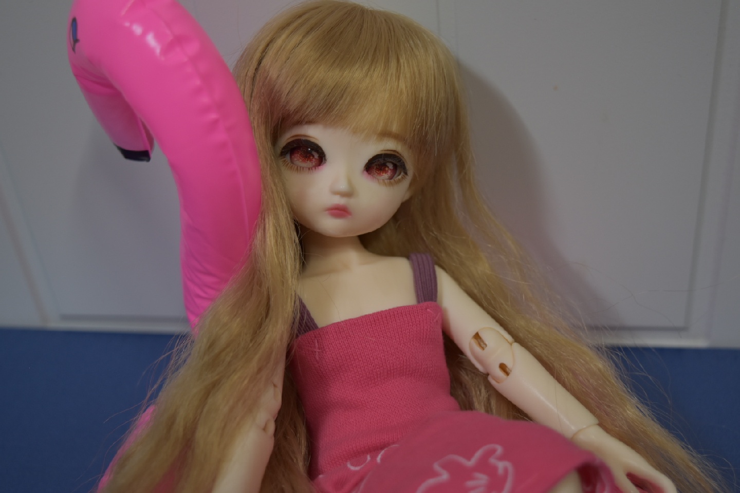 이 친구는 저희집 둘째에요~💖
