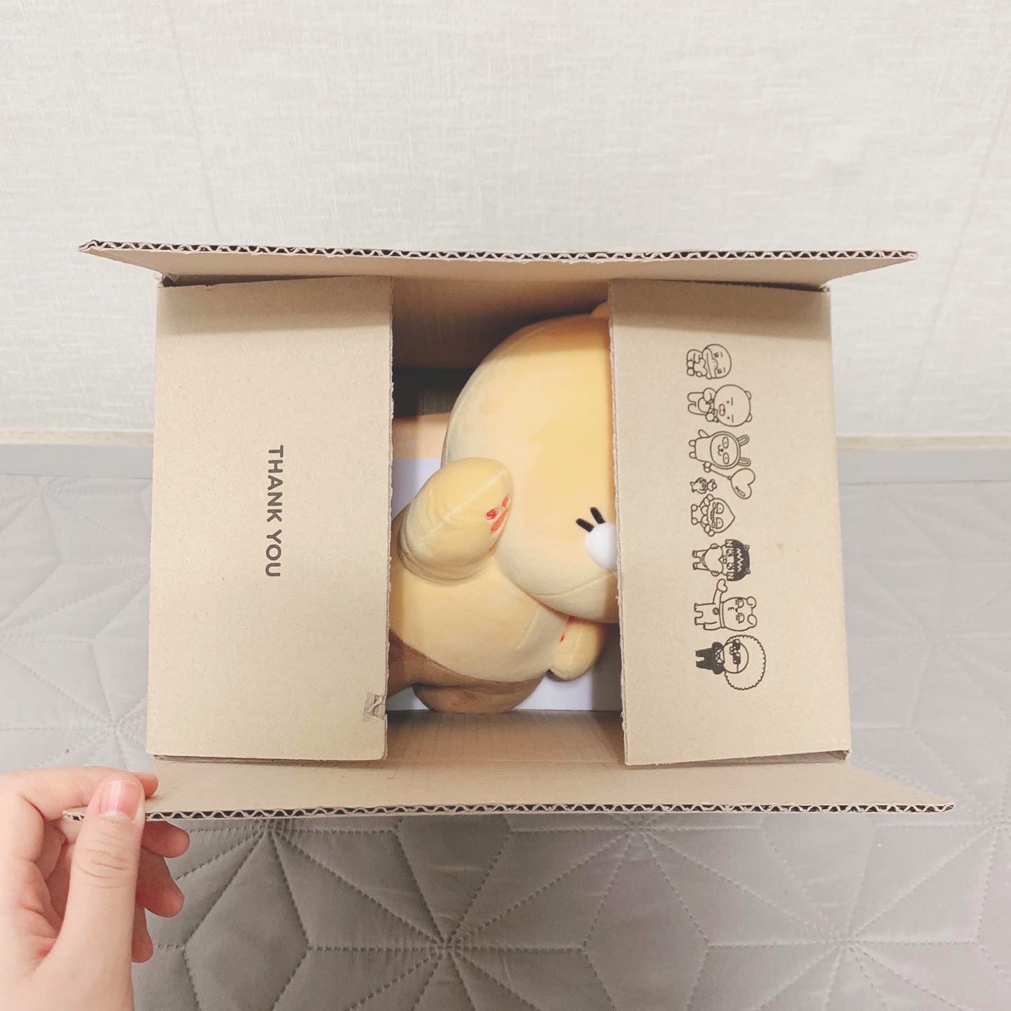 선물 받은 상자 속에는!