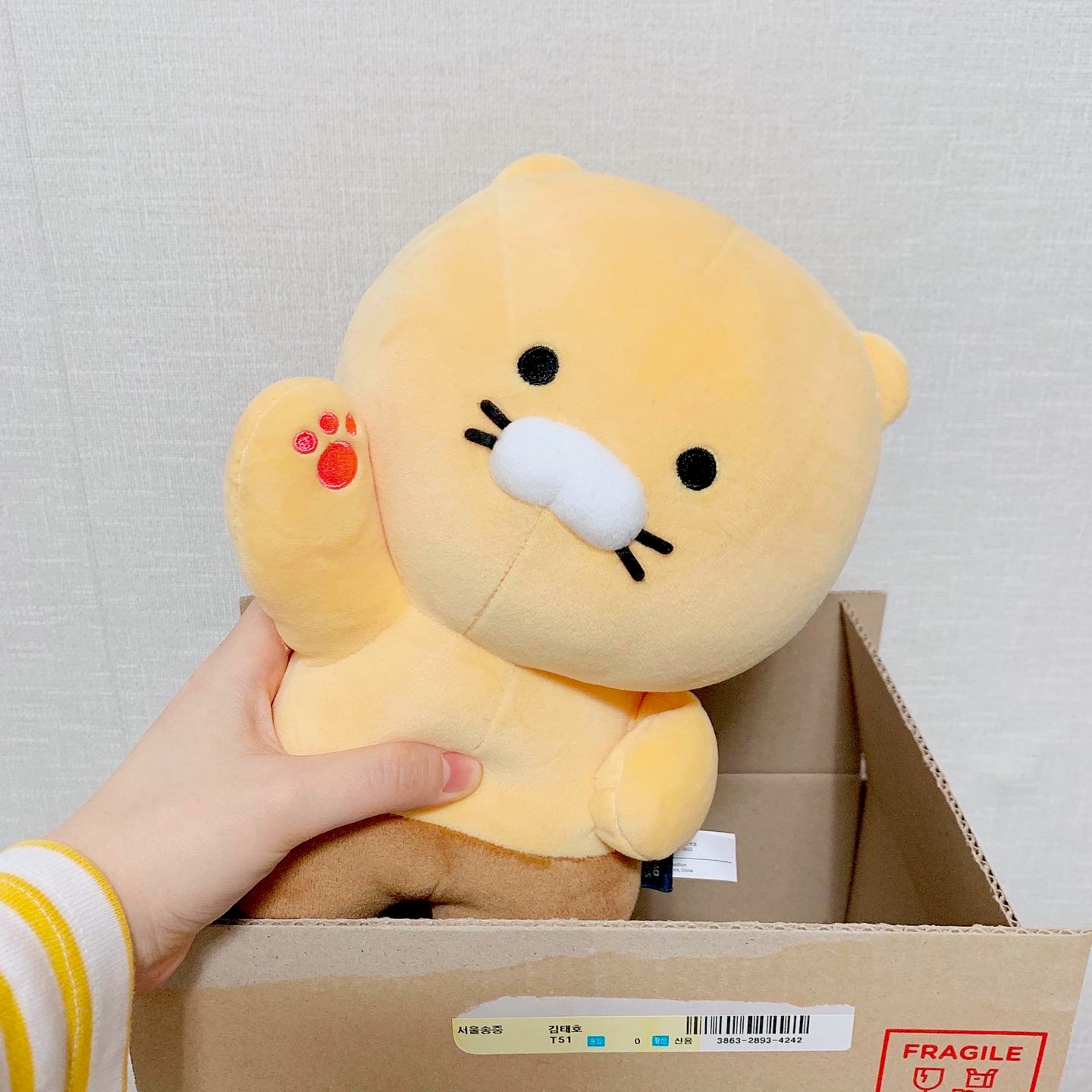 선물 받은 상자 속에는!