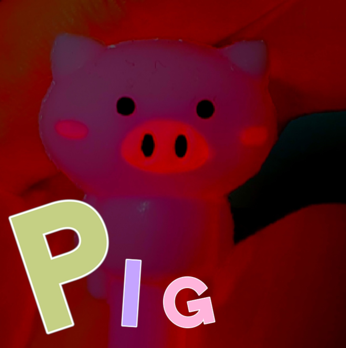 pig