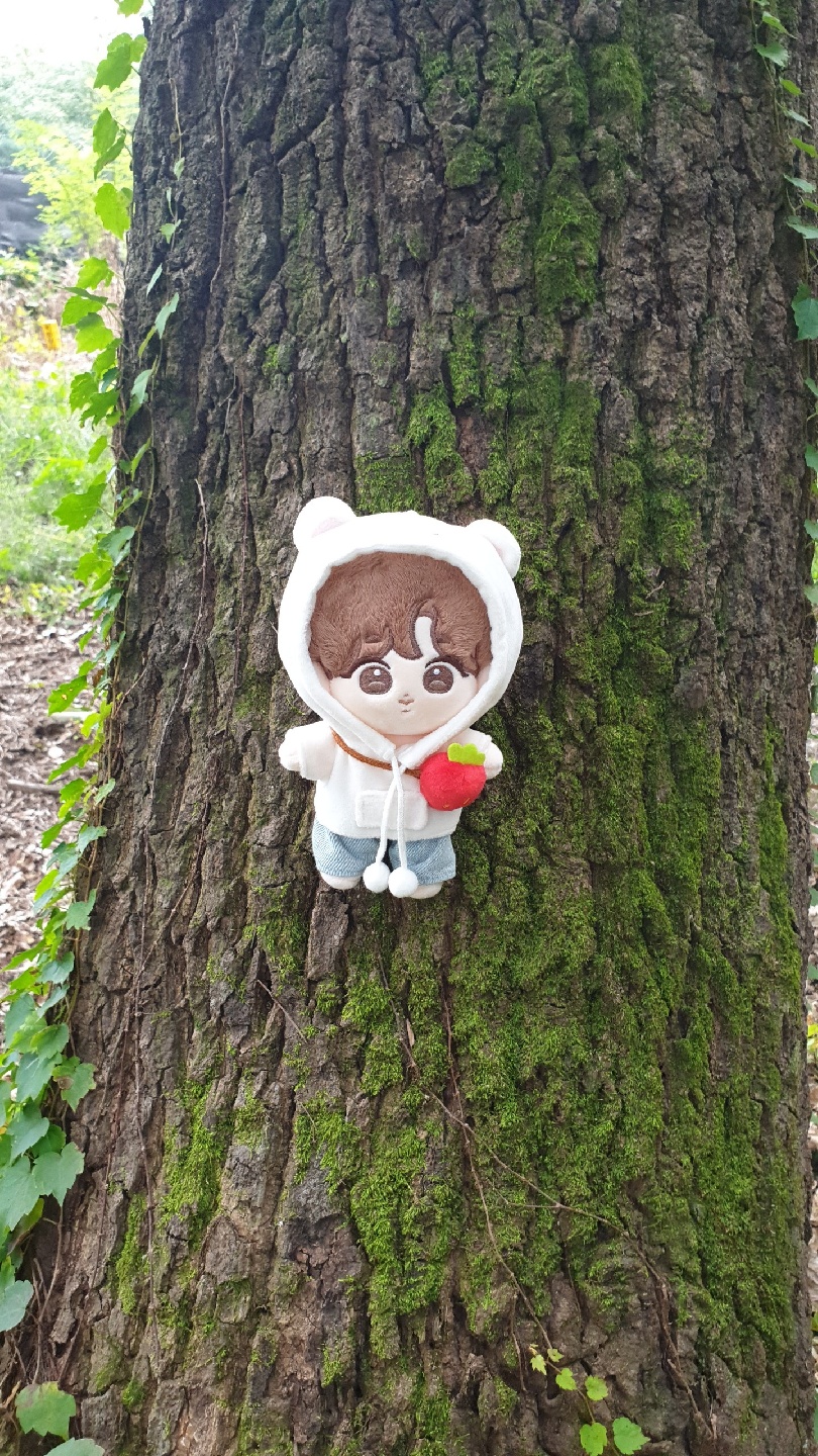 🌲
