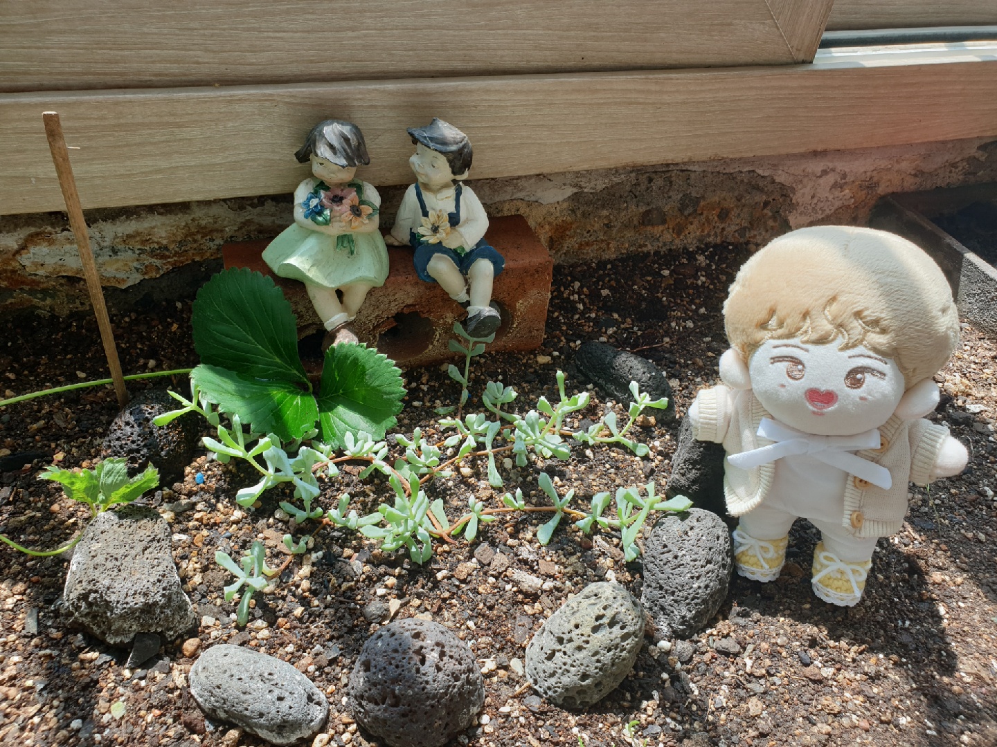 🌱