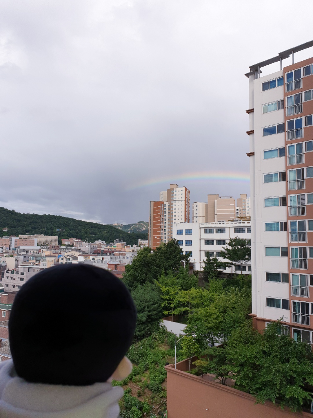 🌈