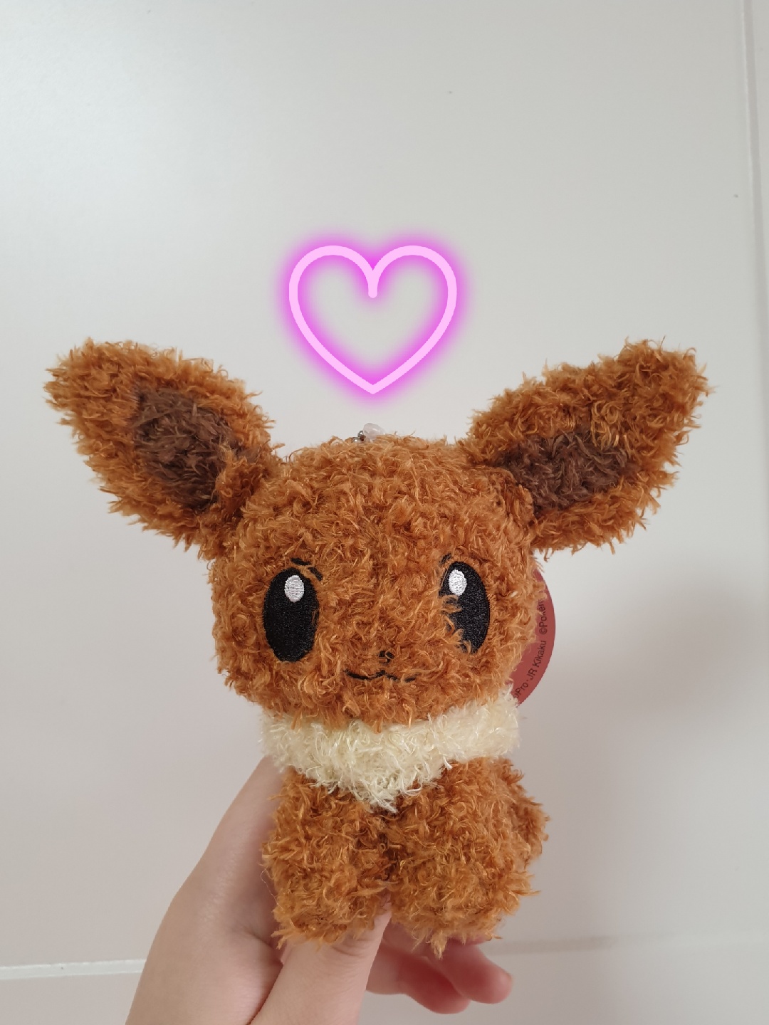 푸들닮은 이브이❣️