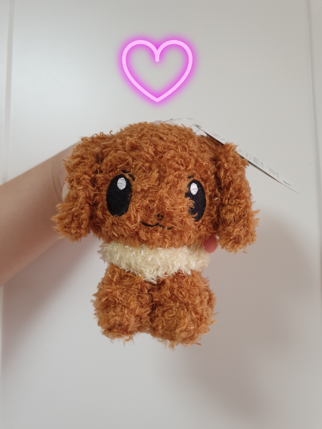 푸들닮은 이브이❣️