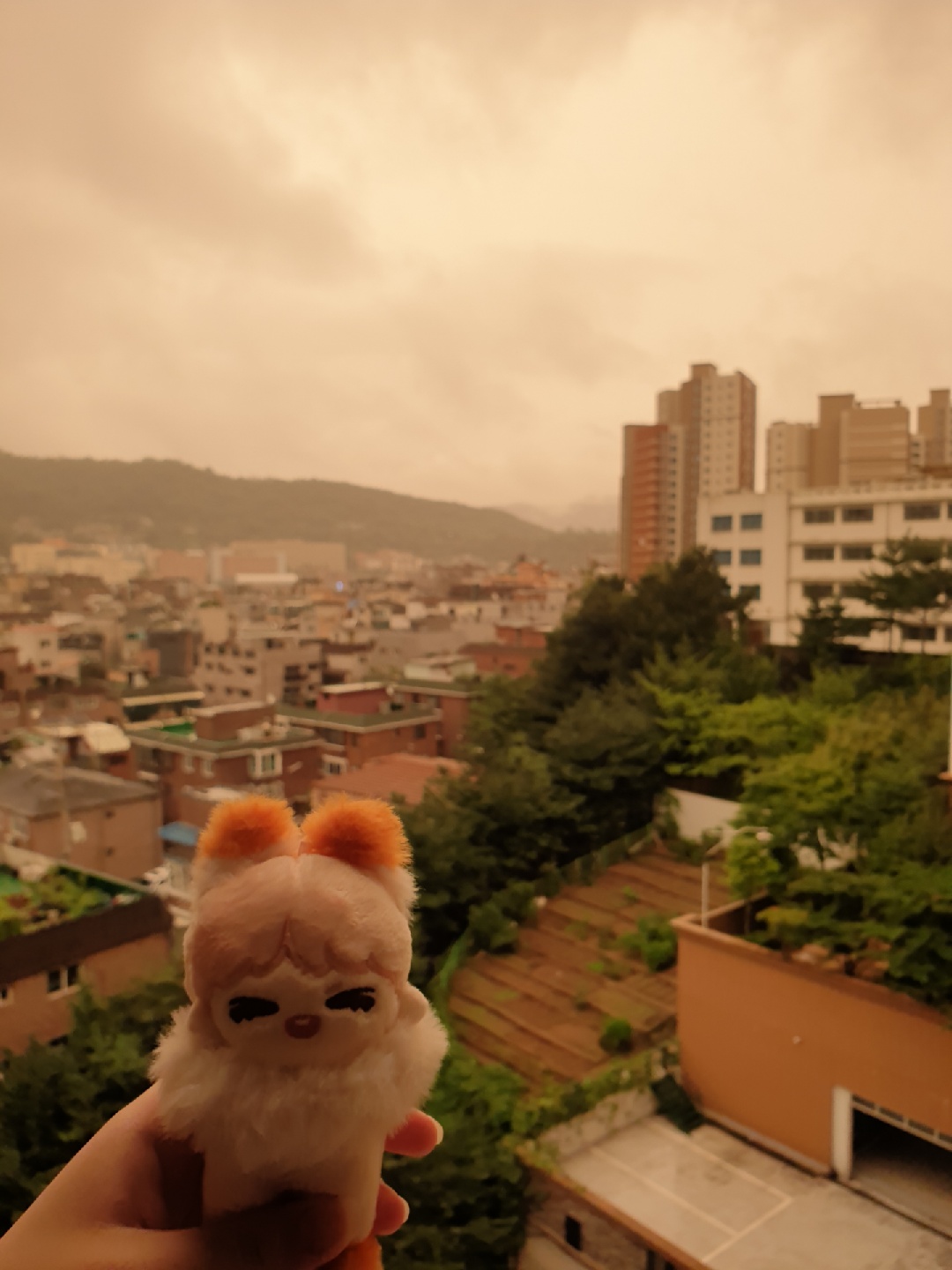 (필터 X) 노란 하늘...