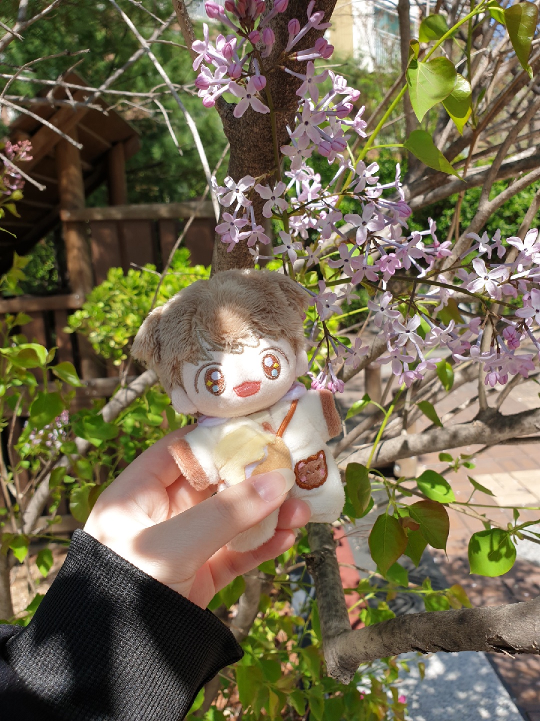 ☀🌿