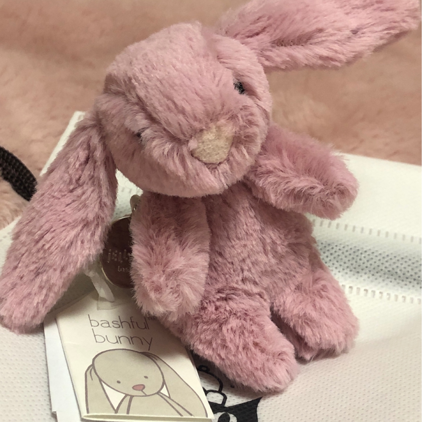 🎀