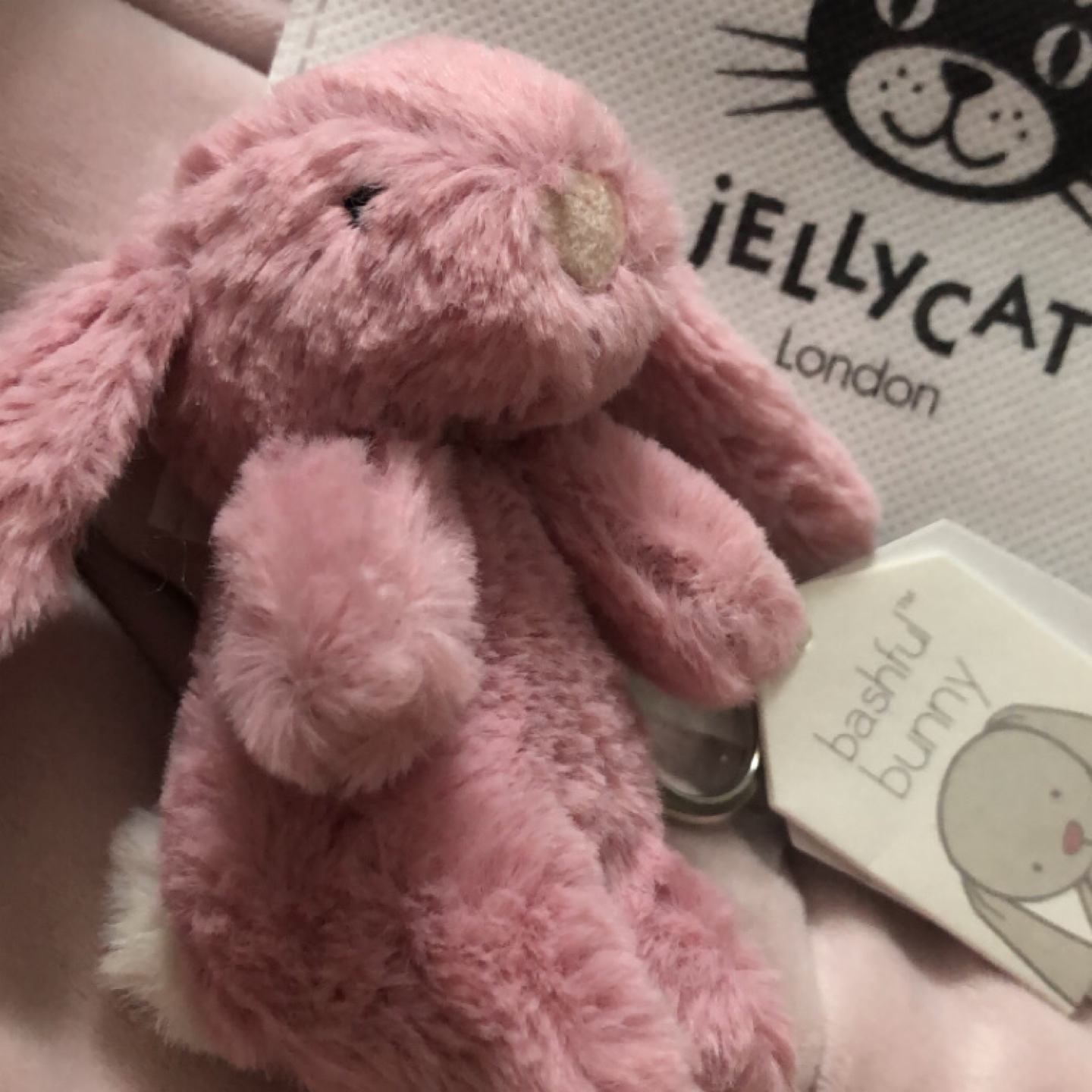 🎀