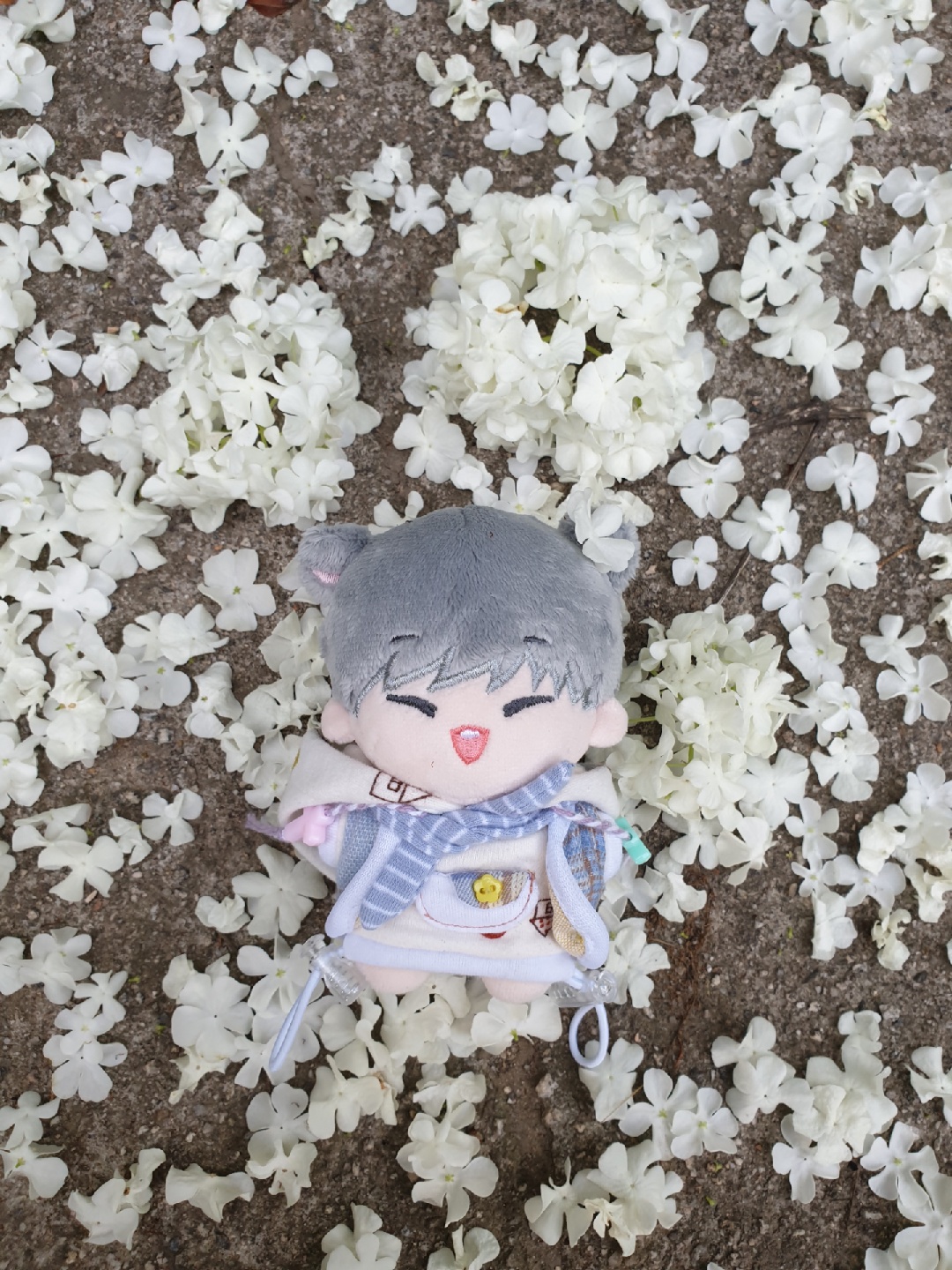 수국🌿