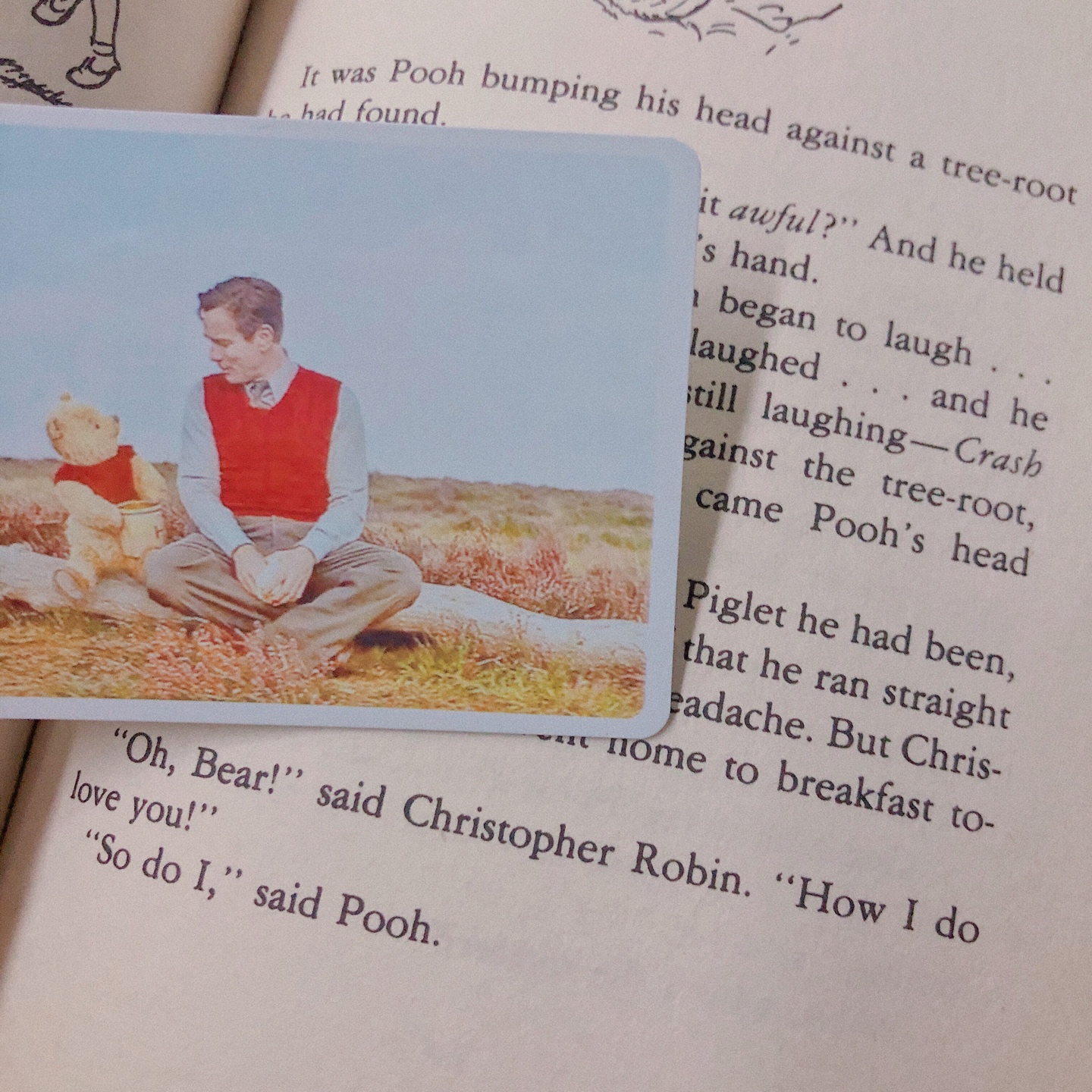 Winnie the Pooh