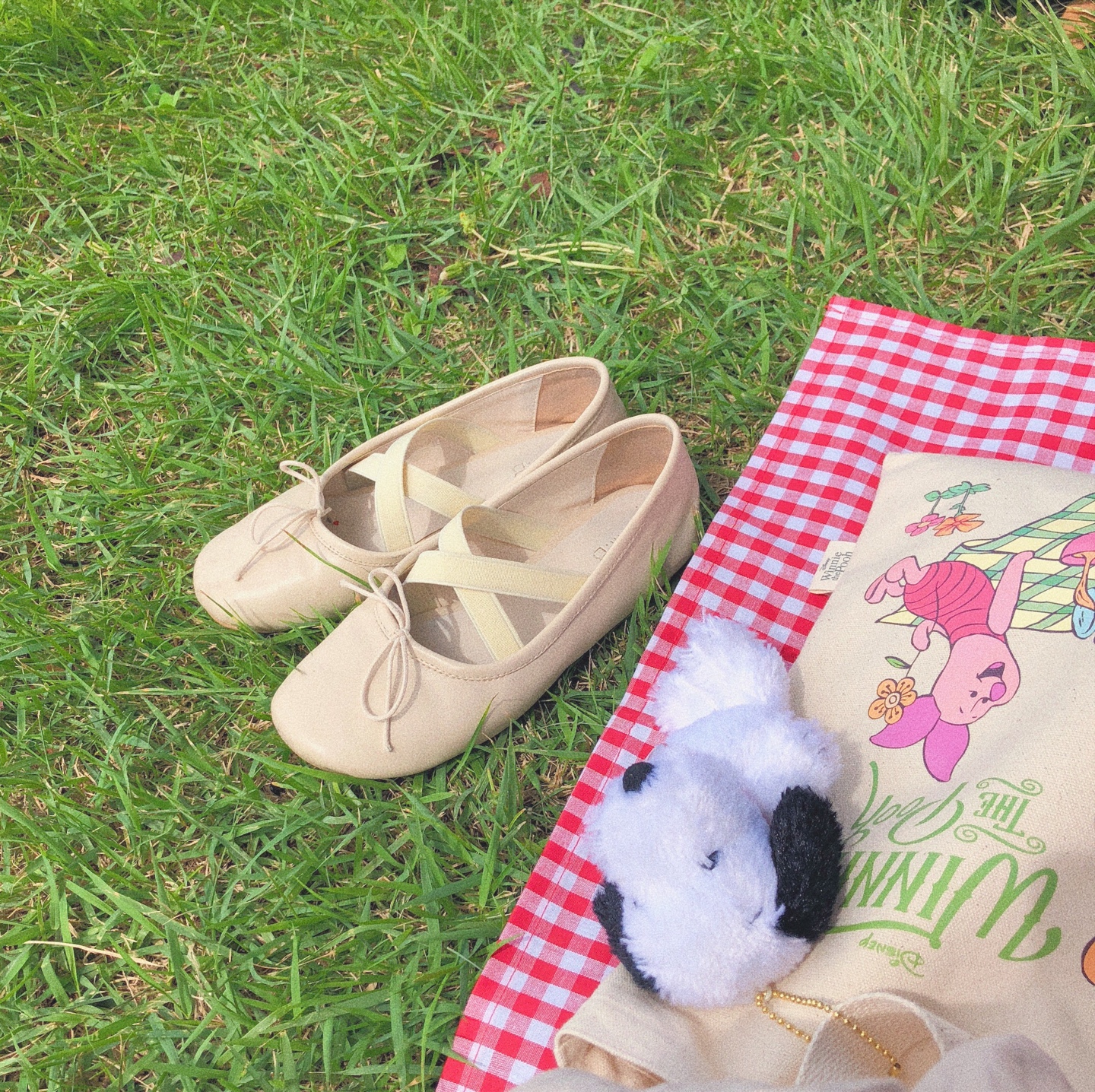 Picnic