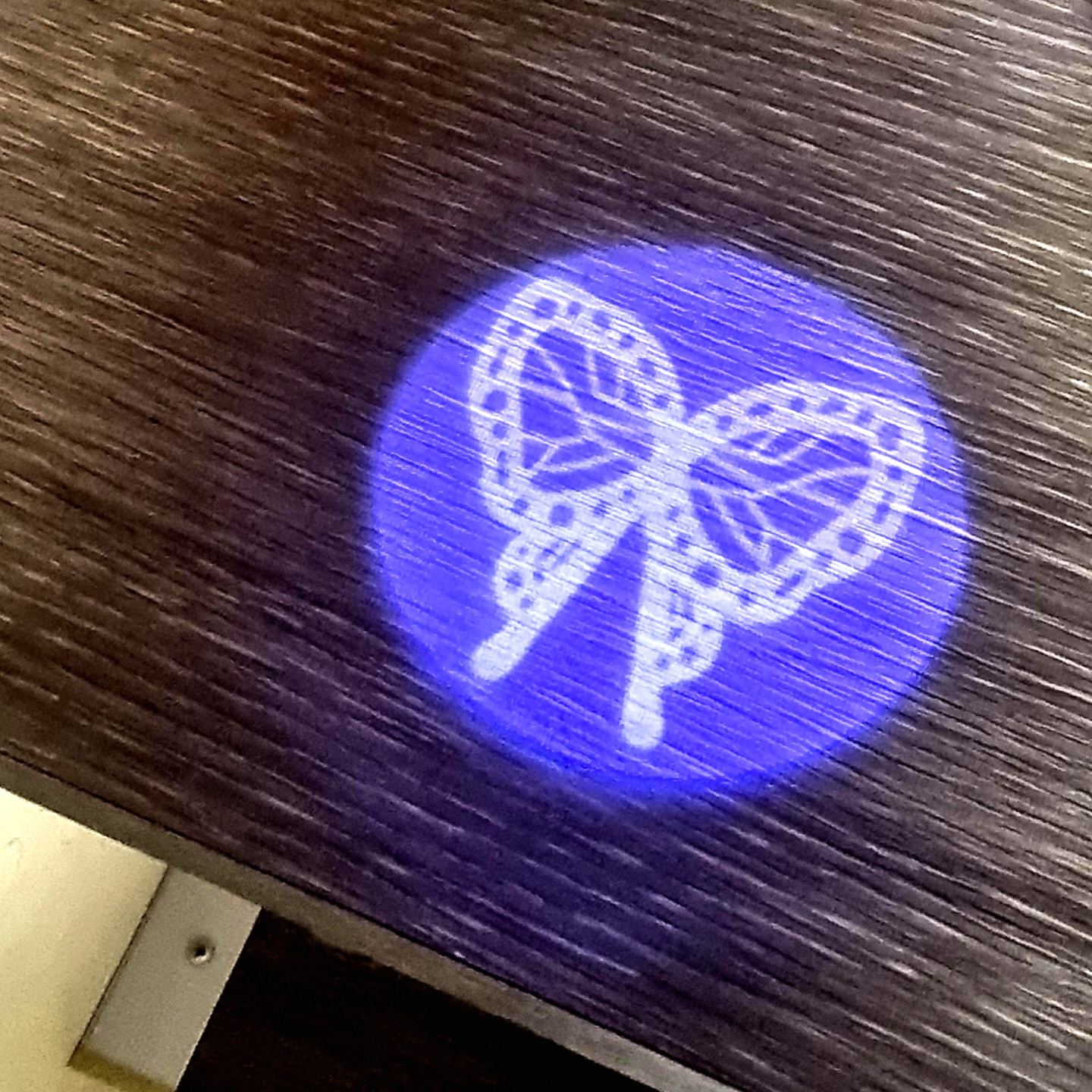 🦋 코쵸우 시노부 LED 라이트