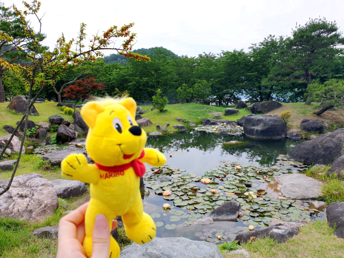 오늘의 여행 메이트