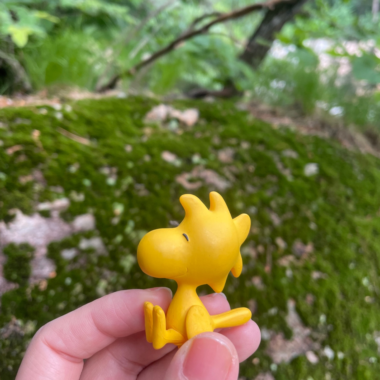 💛노랑해💛