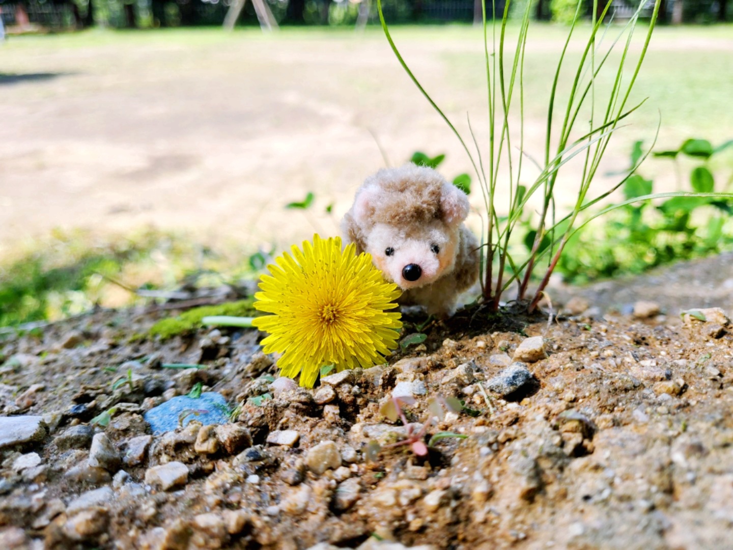 미니미 고슴도치 모루인형