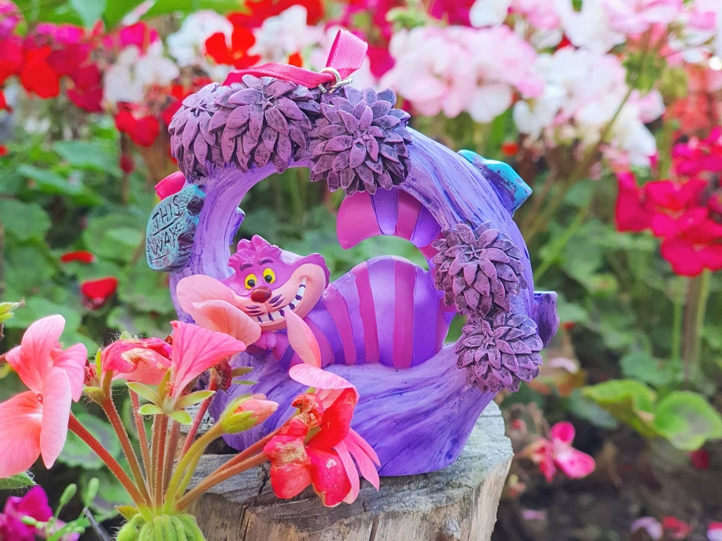 ⚘🏵🌻🌹체셔🌷🌼🌺🥀