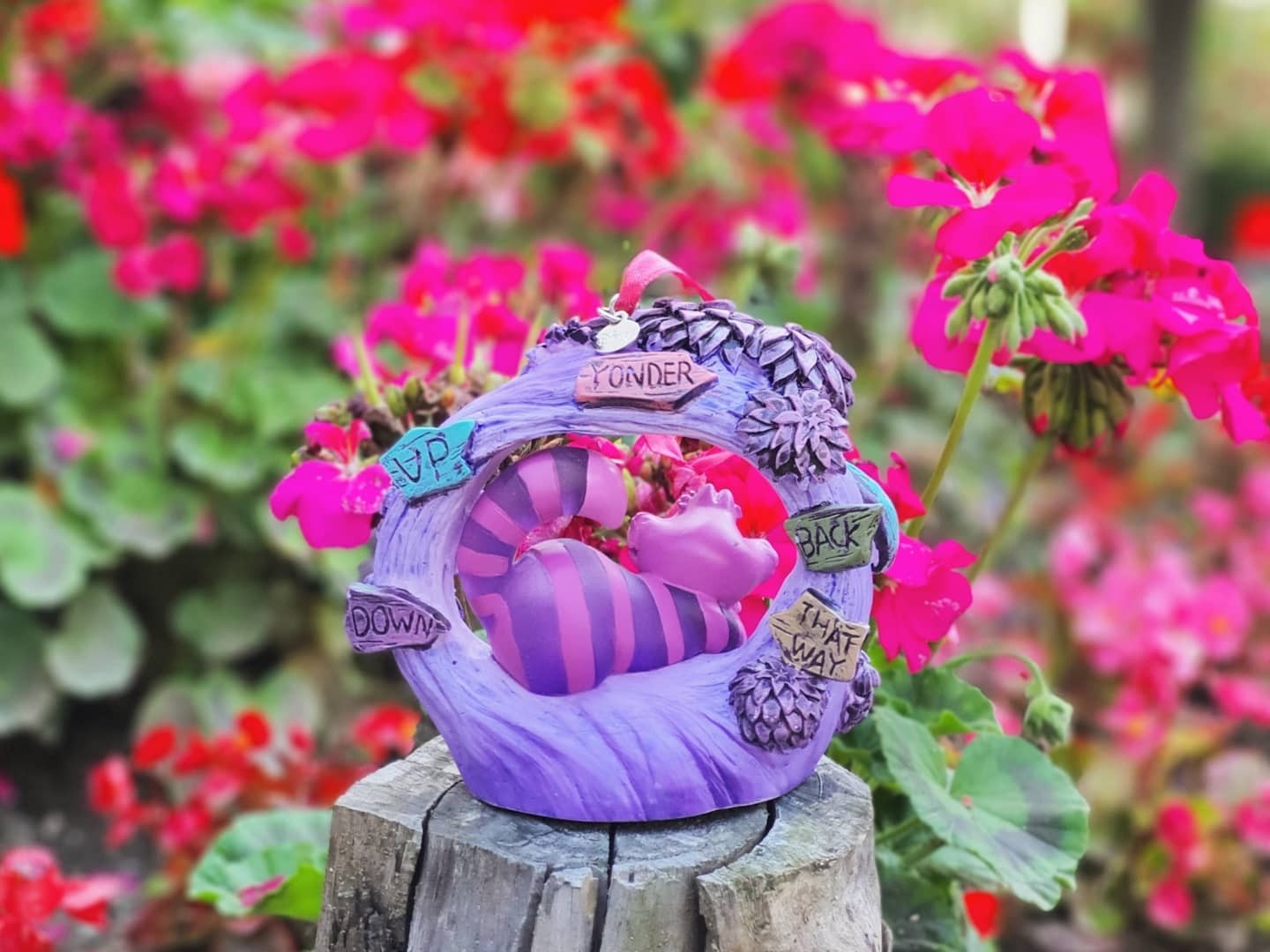 ⚘🏵🌻🌹체셔🌷🌼🌺🥀