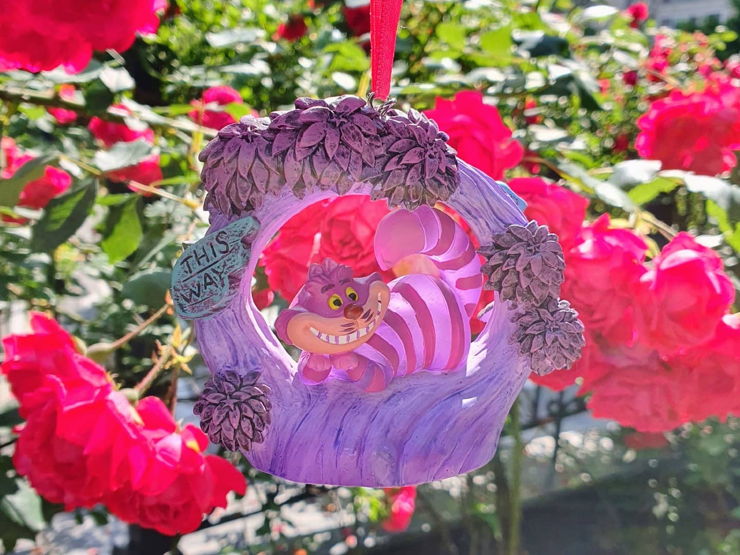 ⚘🏵🌻🌹체셔🌷🌼🌺🥀