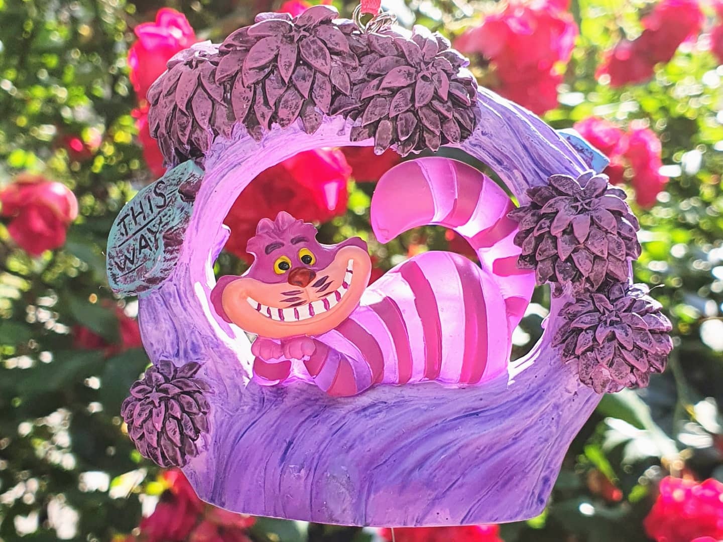 ⚘🏵🌻🌹체셔🌷🌼🌺🥀