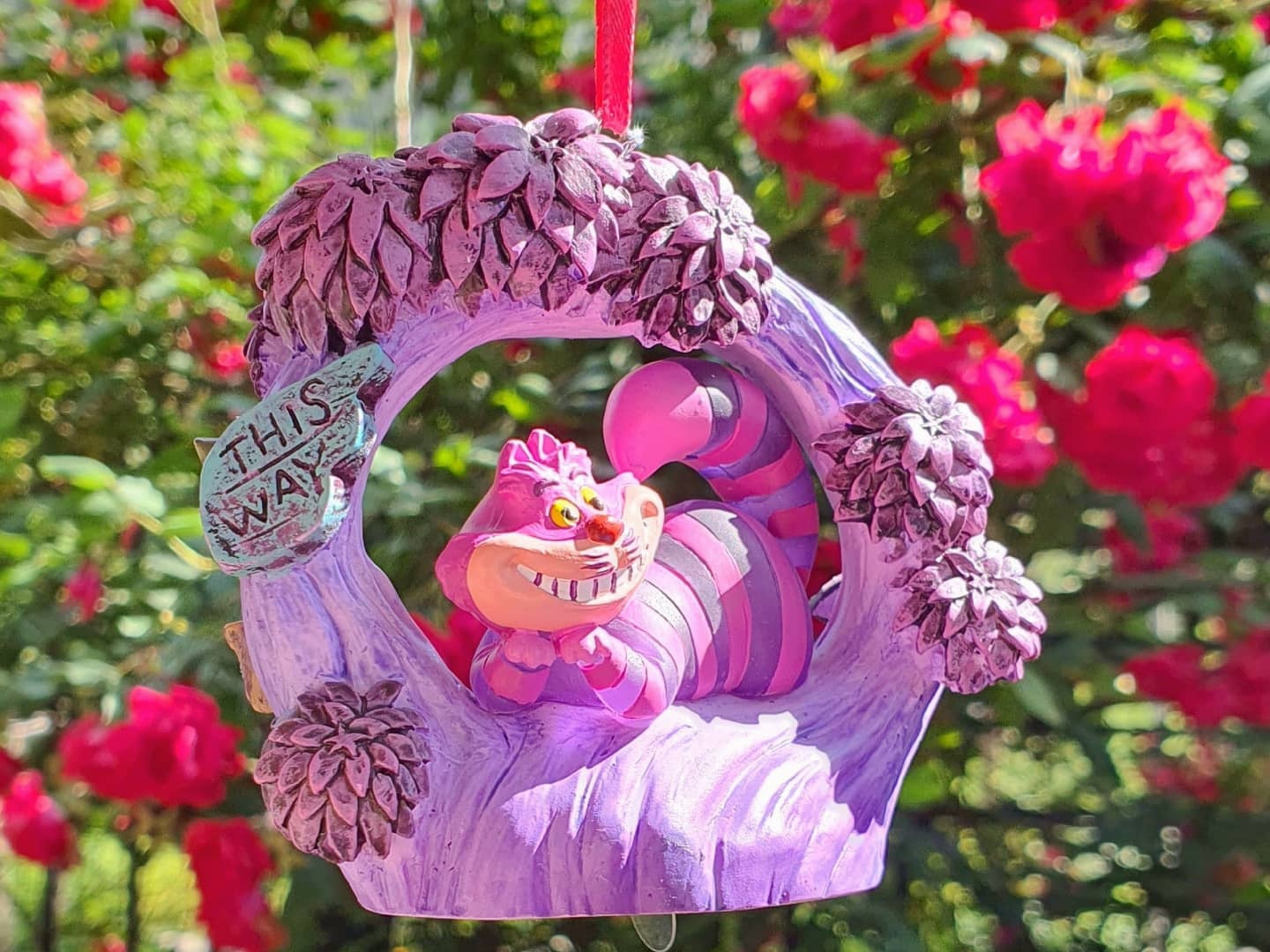 ⚘🏵🌻🌹체셔🌷🌼🌺🥀