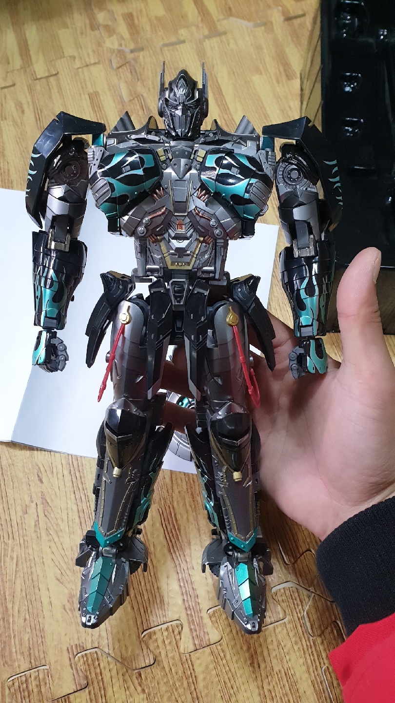암 옵티뭐스 프롸임