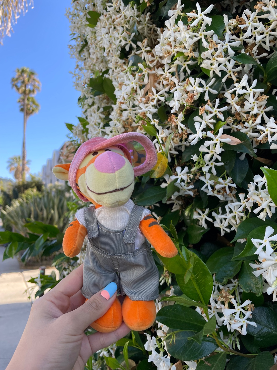 🌼