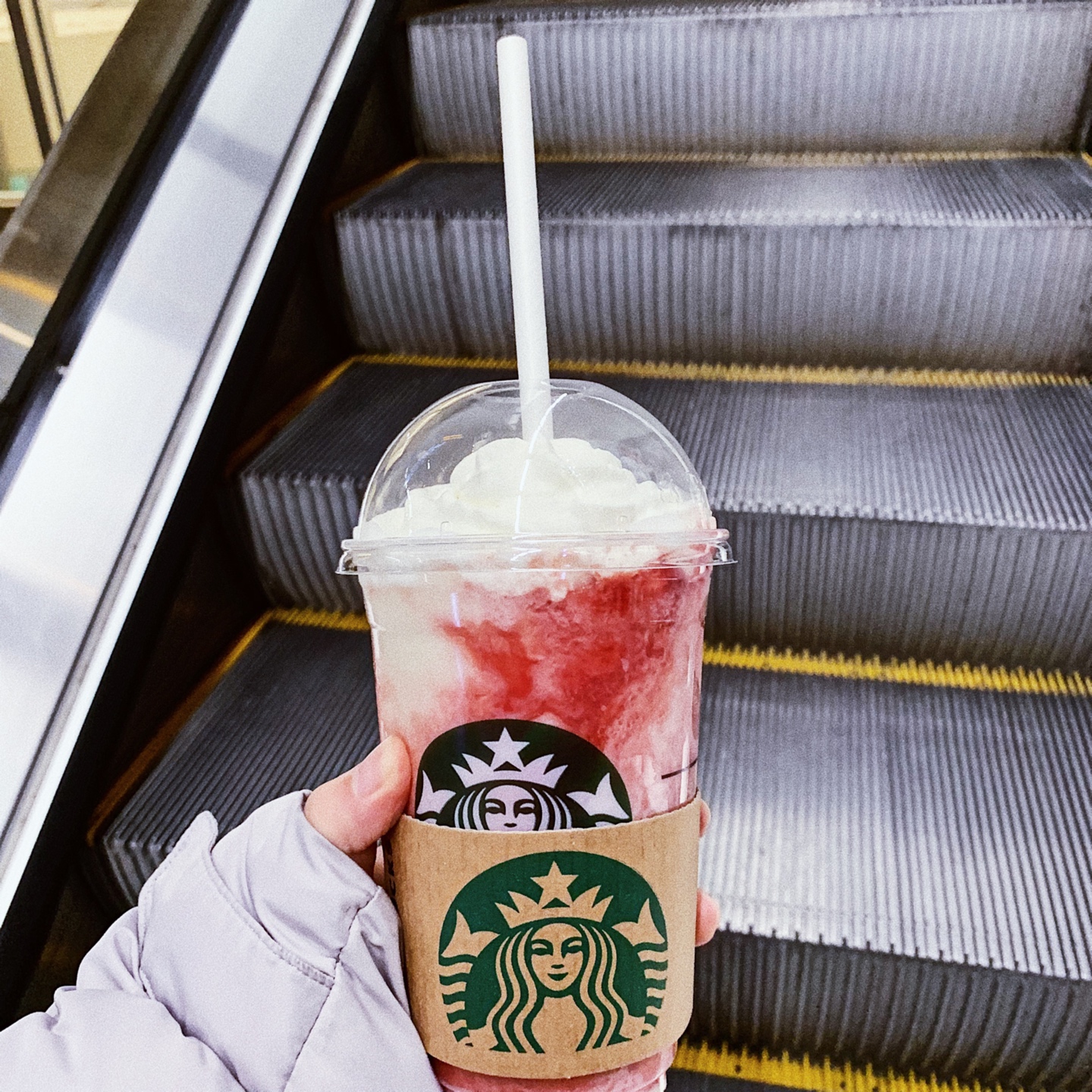 [STARBUCKS KOREA]