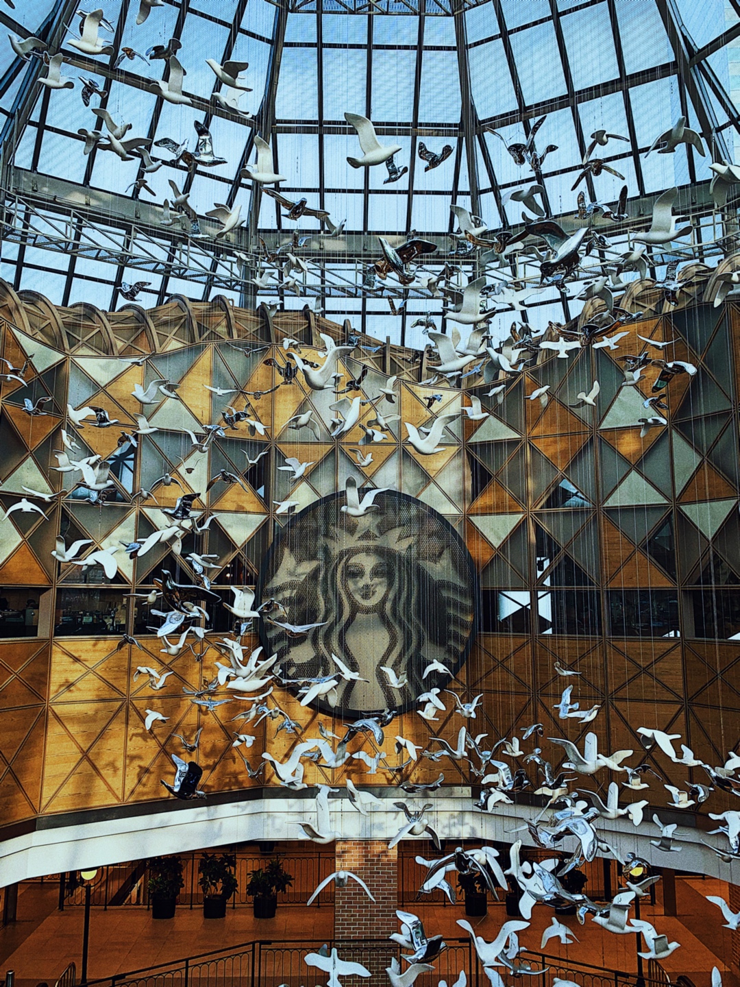 [STARBUCKS 파미에파크R점]