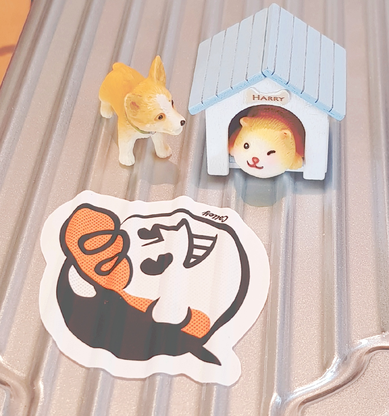 스위치 케이스에 콜리 그리고 미니어쳐