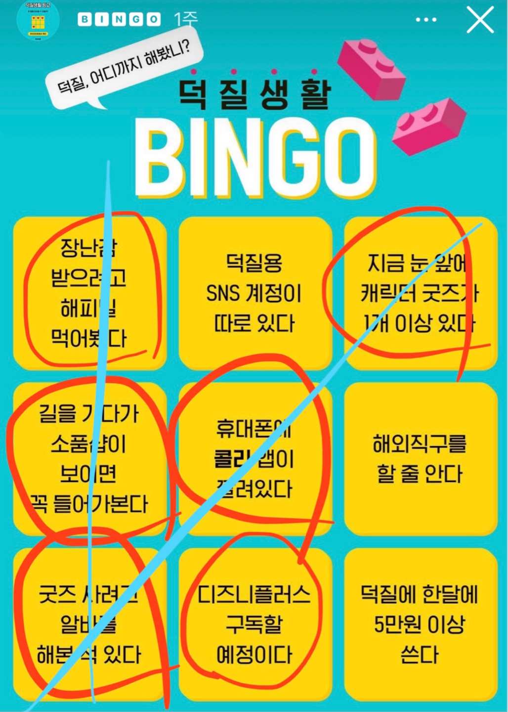 빙고 !