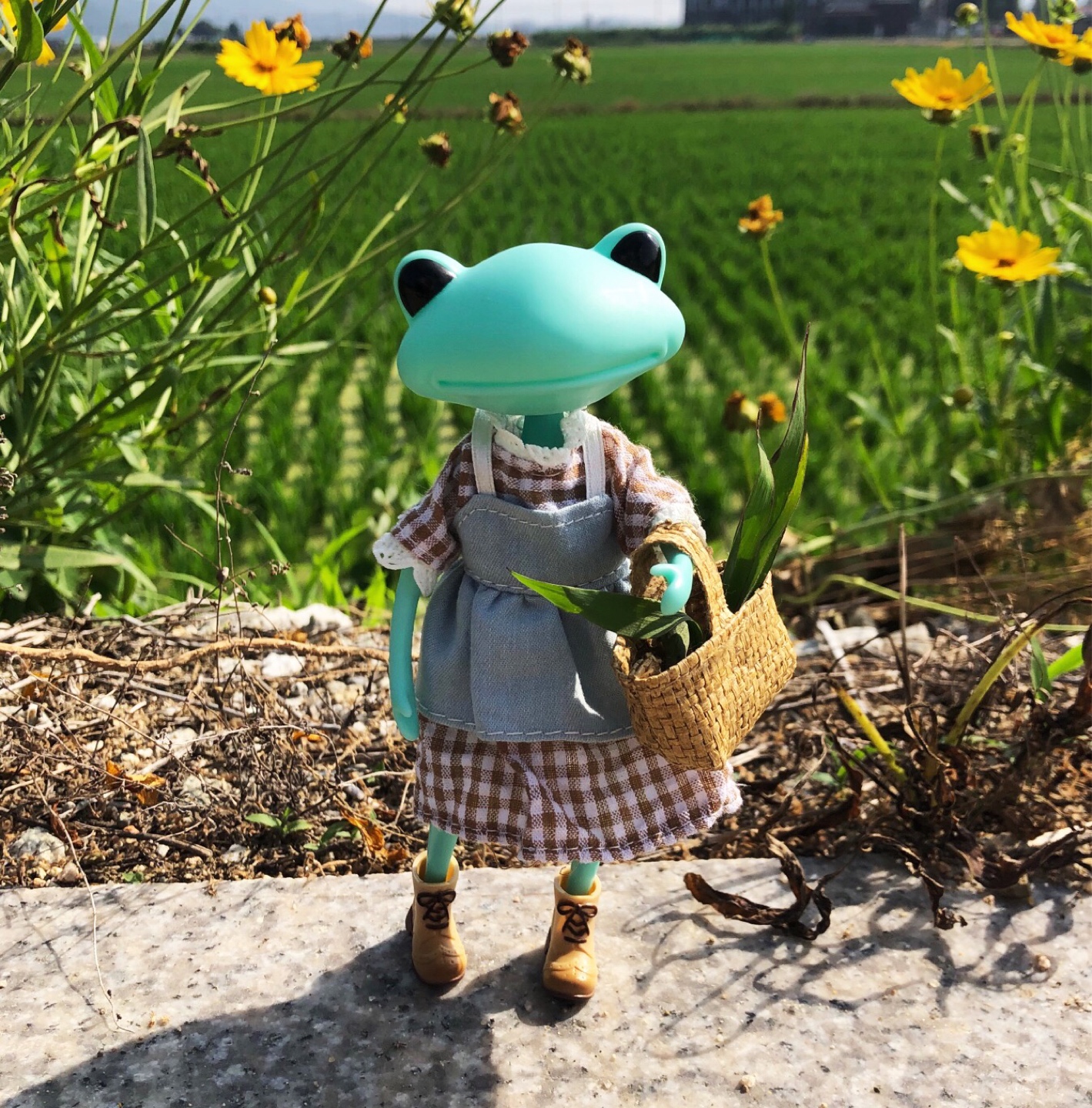 개굴🐸