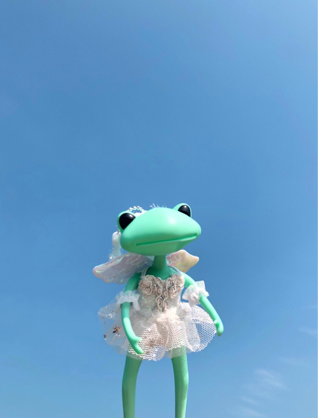 개굴🐸