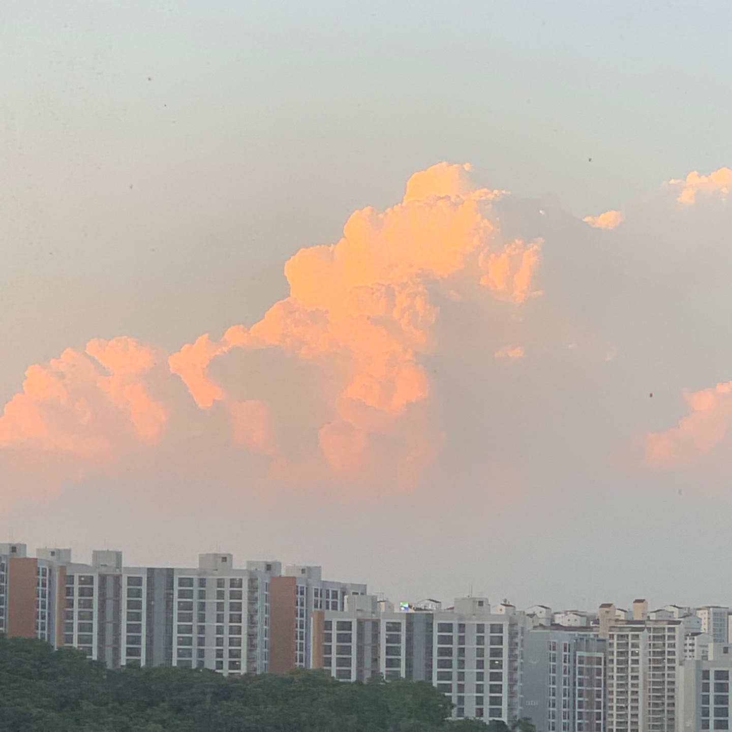 0621 구름 ☁️ 