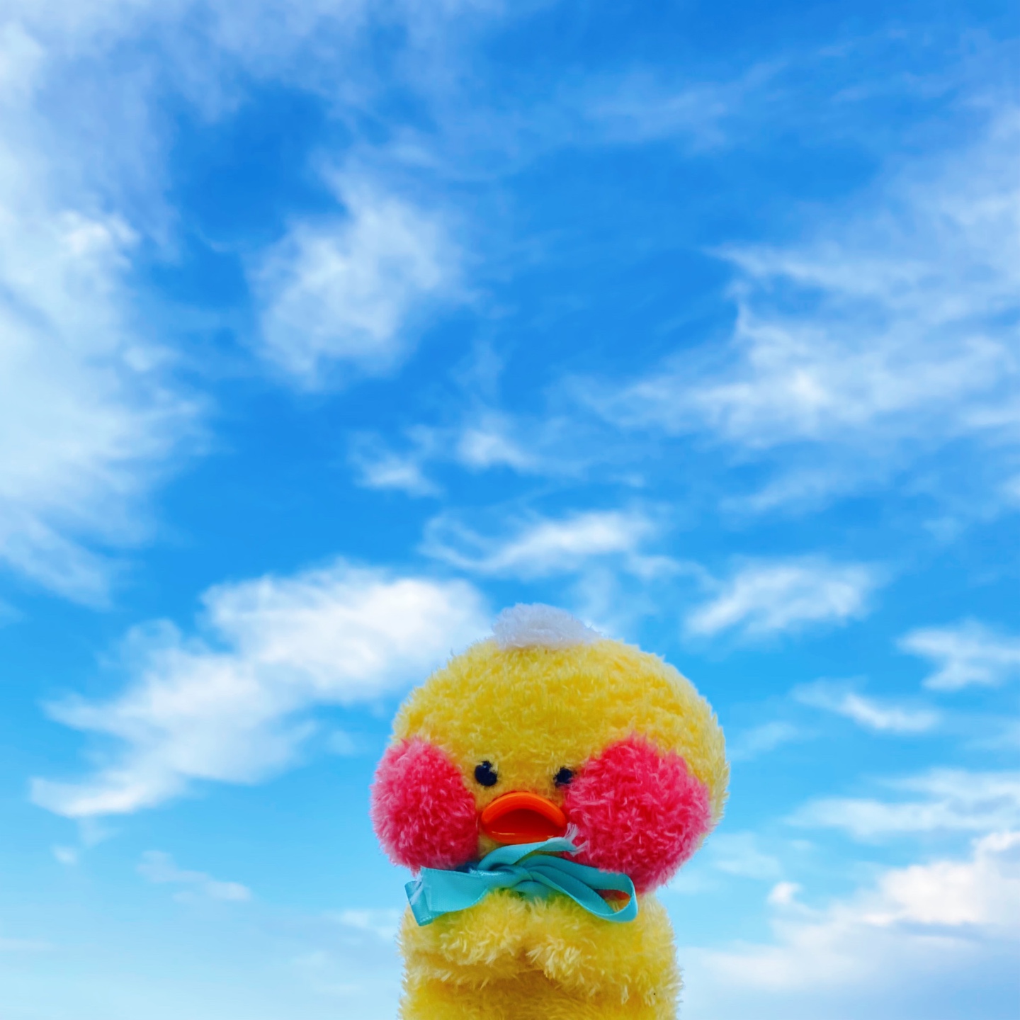 # 꽁냥꽁냥 빵빵덕