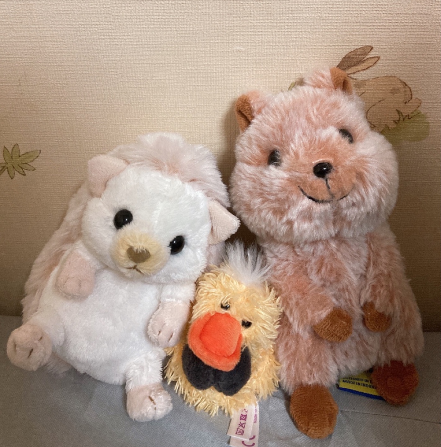 🦔🐤🦘