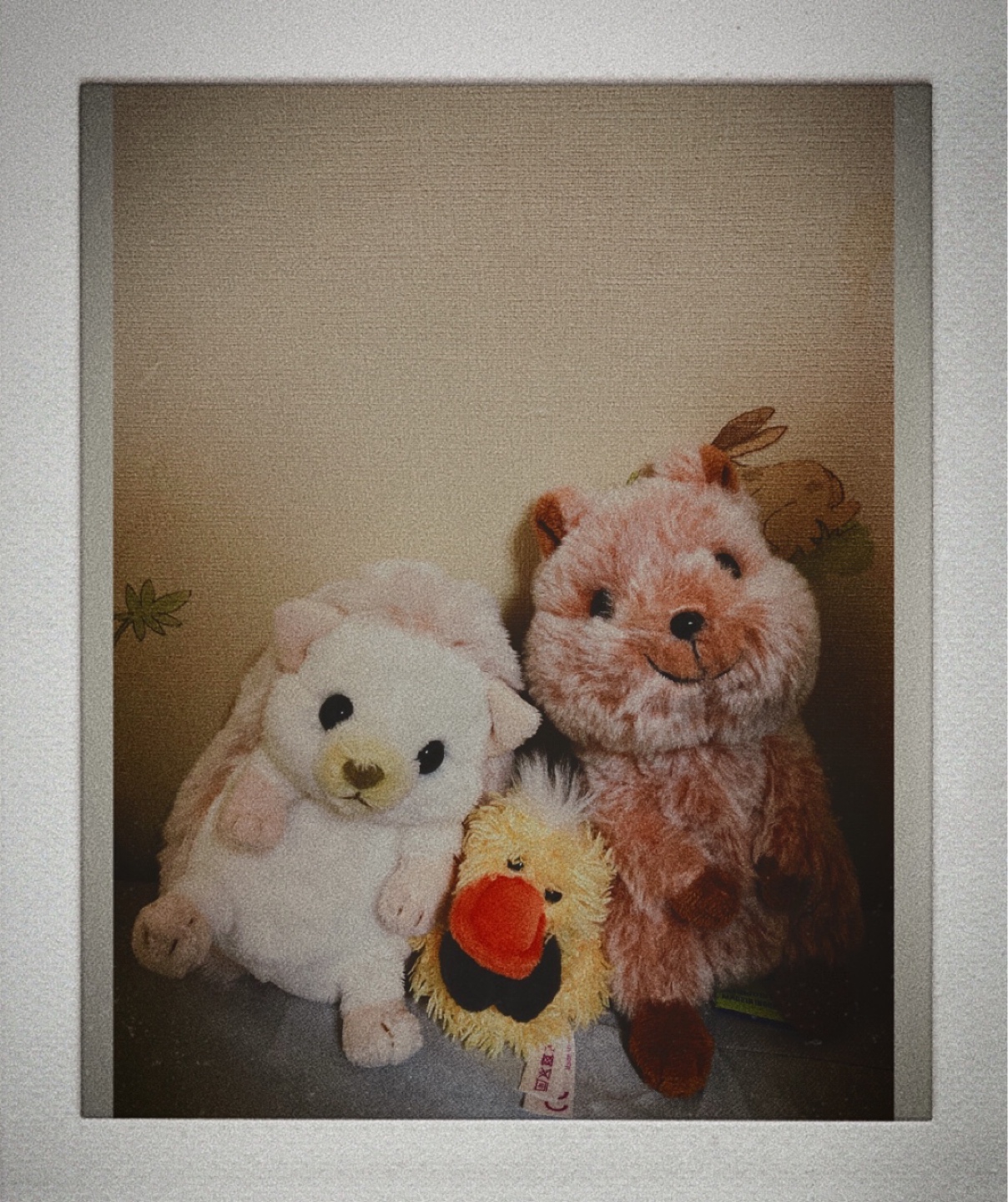 🦔🐤🦘