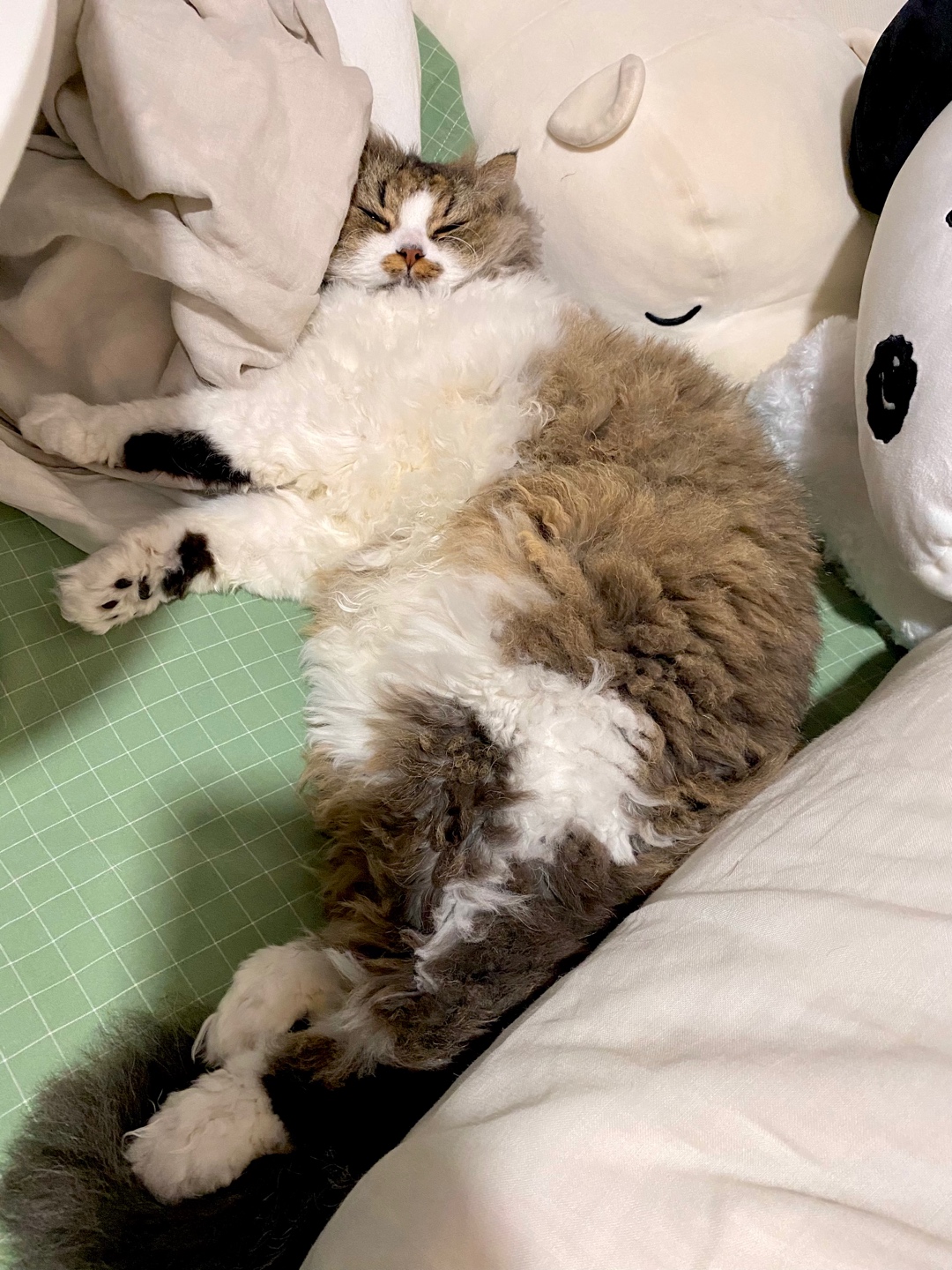 나는 이.주.디.