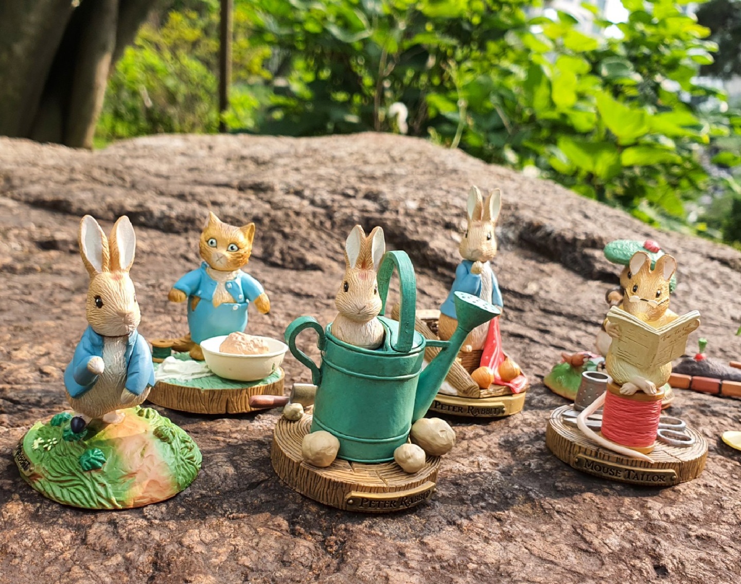 Petter rabbit 🐰