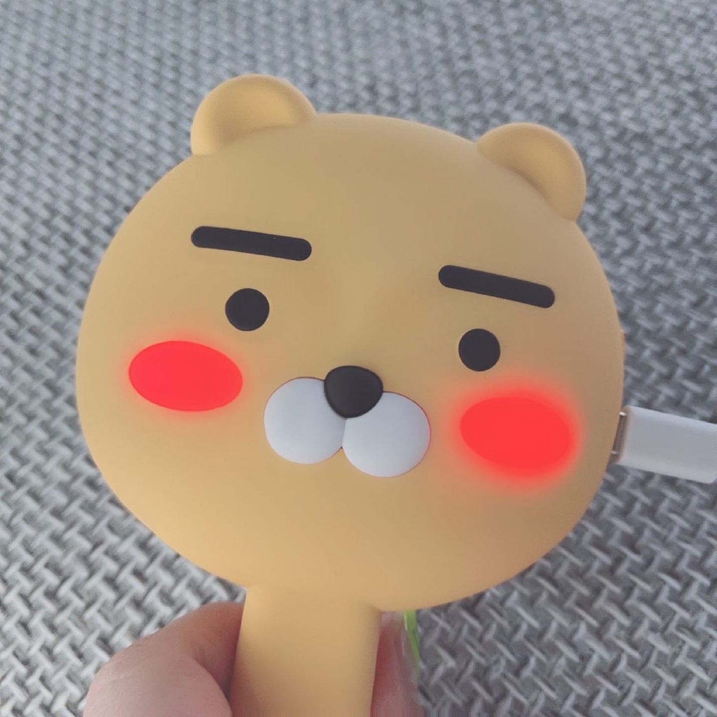 라이언 휴대용 살균기