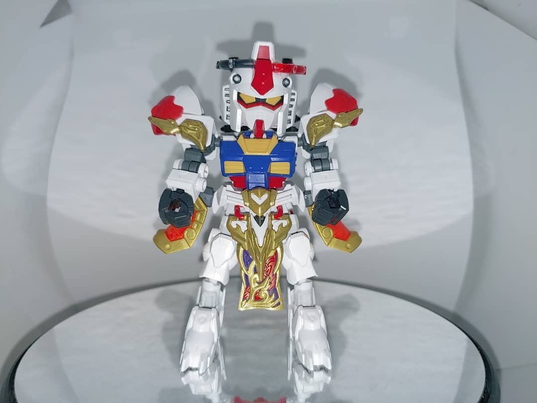 Custom Gundam-제천대성