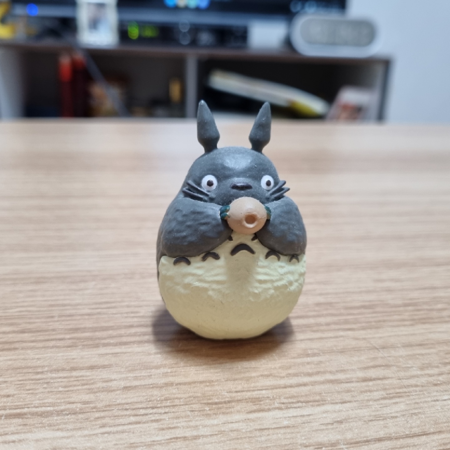 토토로