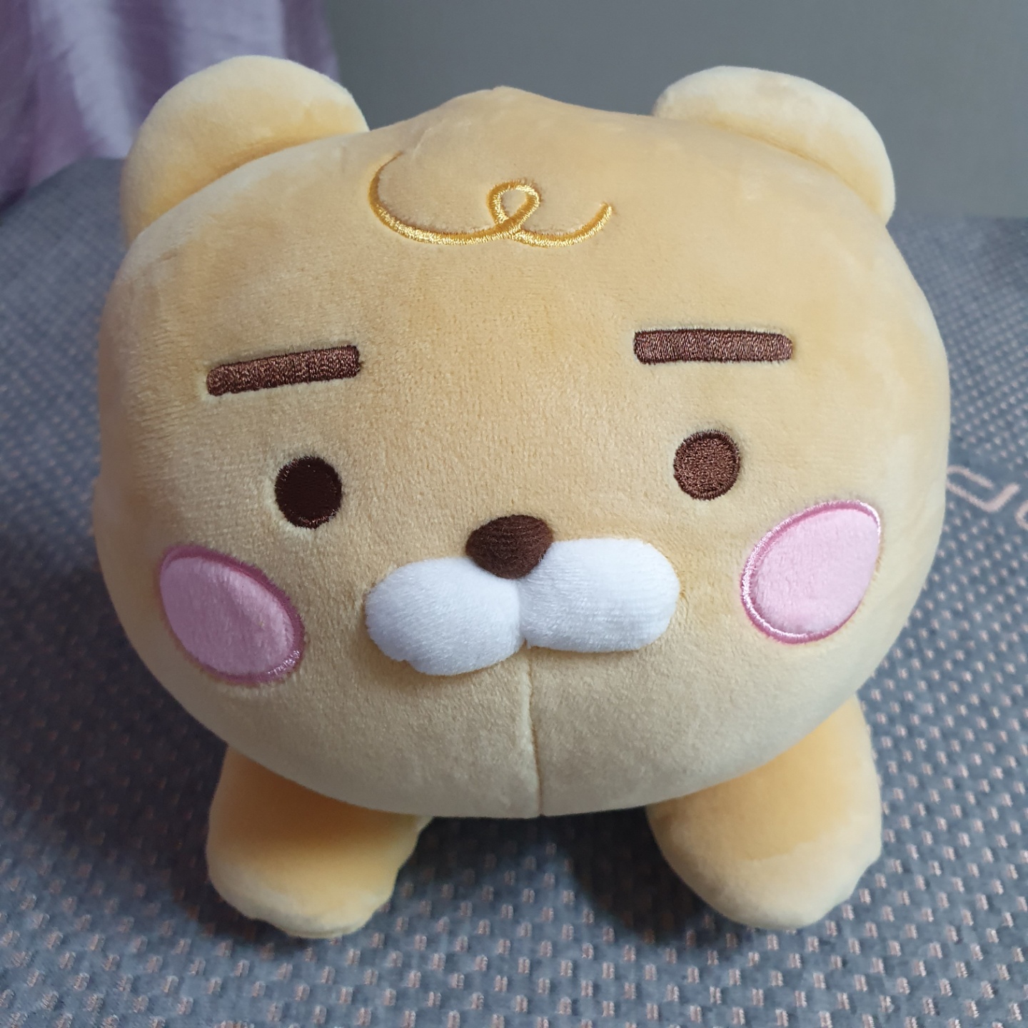 라이언 낮잠필로우😴😴