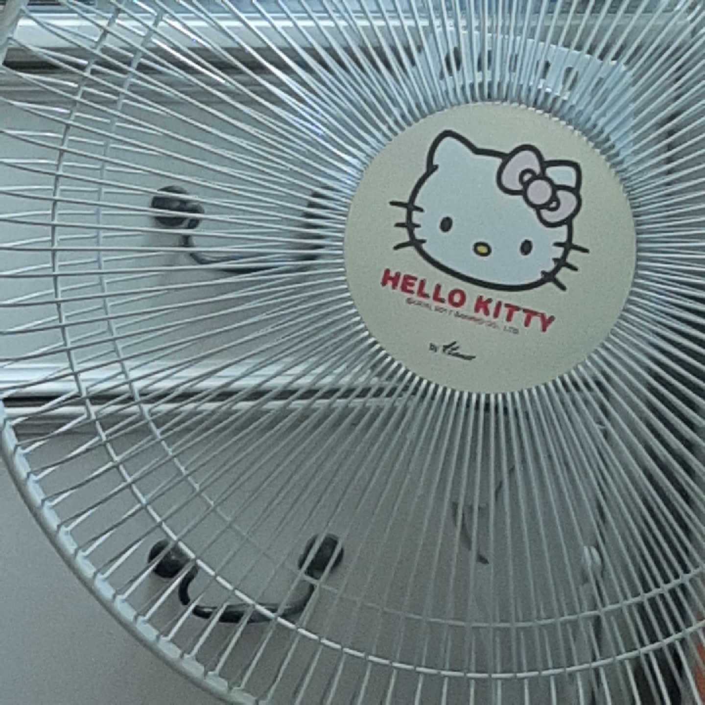 첫덕소 키티