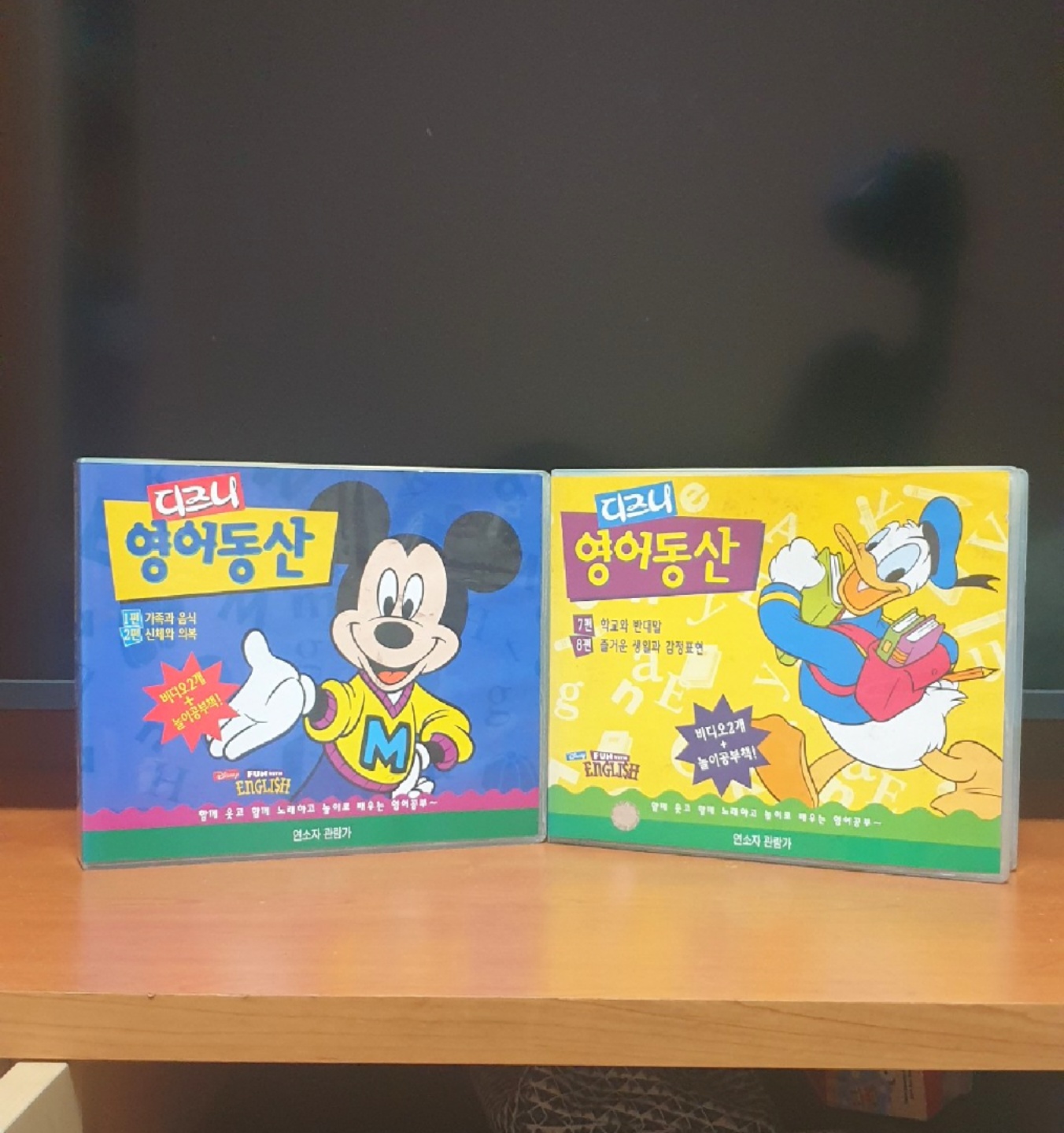 [첫덕소] 아마도 첫 덕질은 이때부터